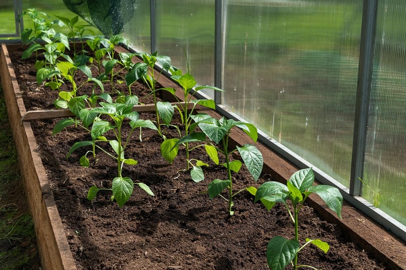Urban Agriculture